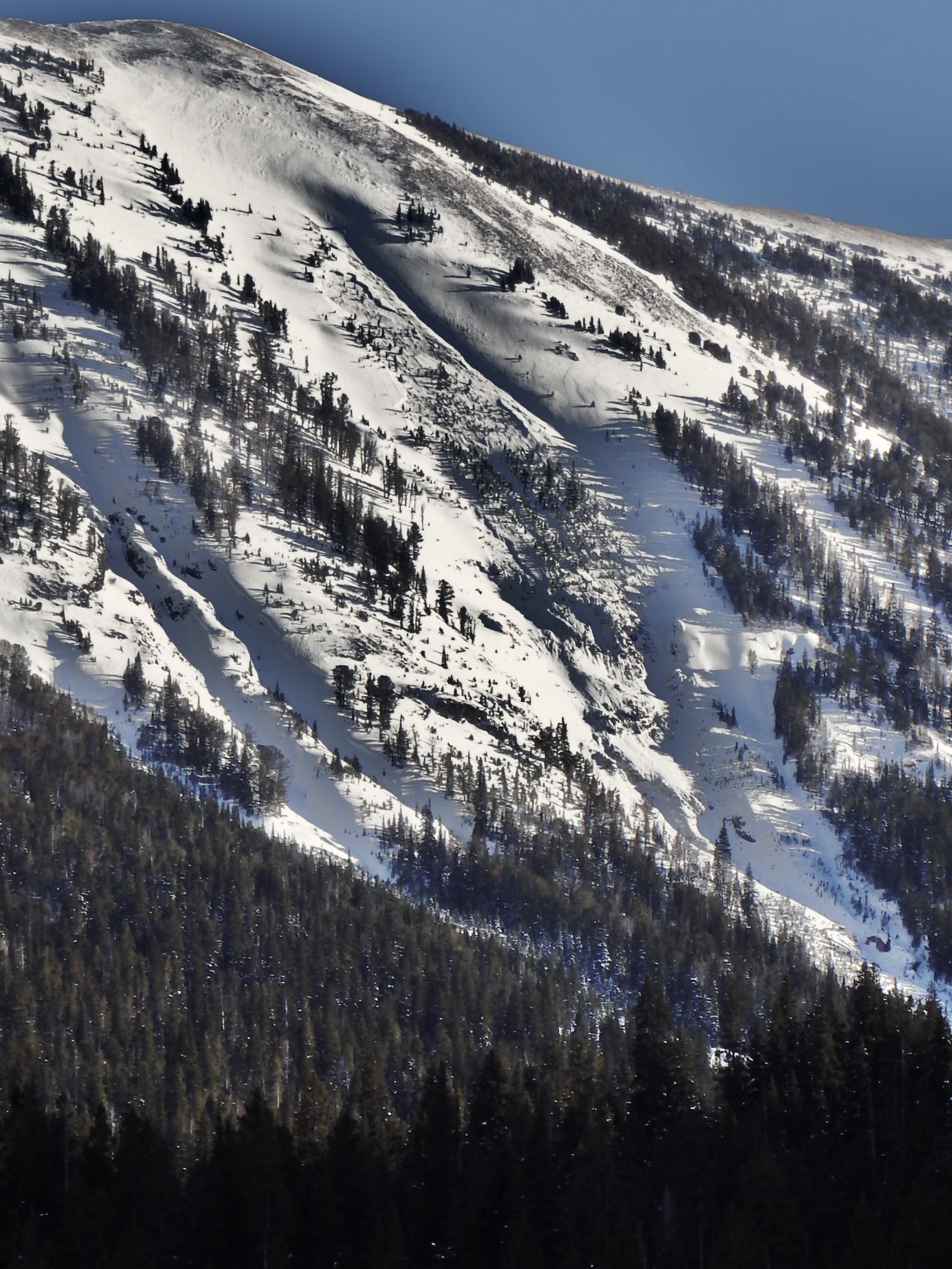 Natural Avalanche Woody Ridge - 2/7/16