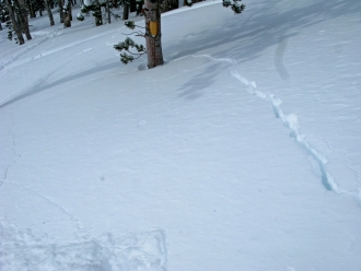 Shooting Crack - Cooke City 