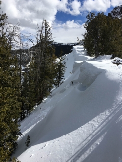 Northern Gallatin Avalanche  - 3/13/16