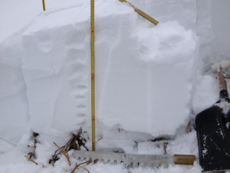 Snowpit near the top of Pierre's Knob