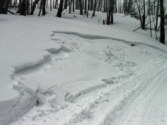 Small Avalanches near Cooke City