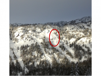 Natural avalanche near Goose Creek